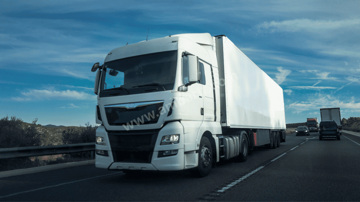 Sinop Şehirler Arası Taşıma